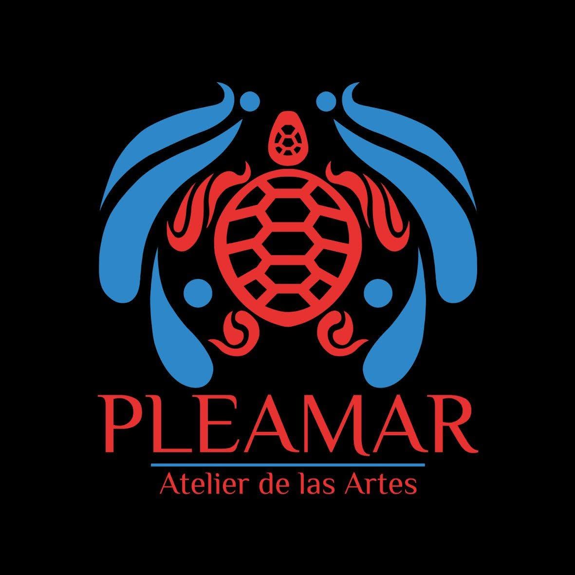 Logo Pleamar Escuela de Arte